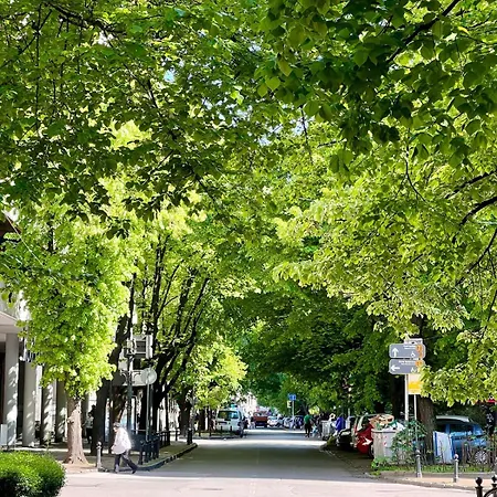 Luxury In The Heart Of Vracar דירה