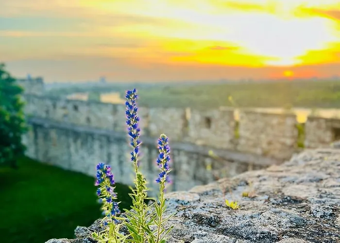 Apartman Luxury In The Heart Of Vracar *