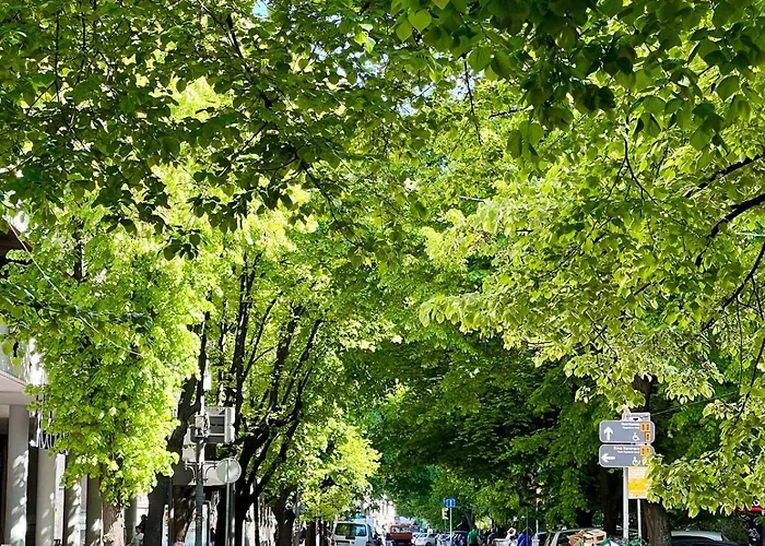 Luxury In The Heart Of Vracar Apartman